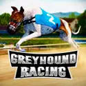 Greyhound Racing