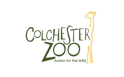 Helping to Save our Zoo!
